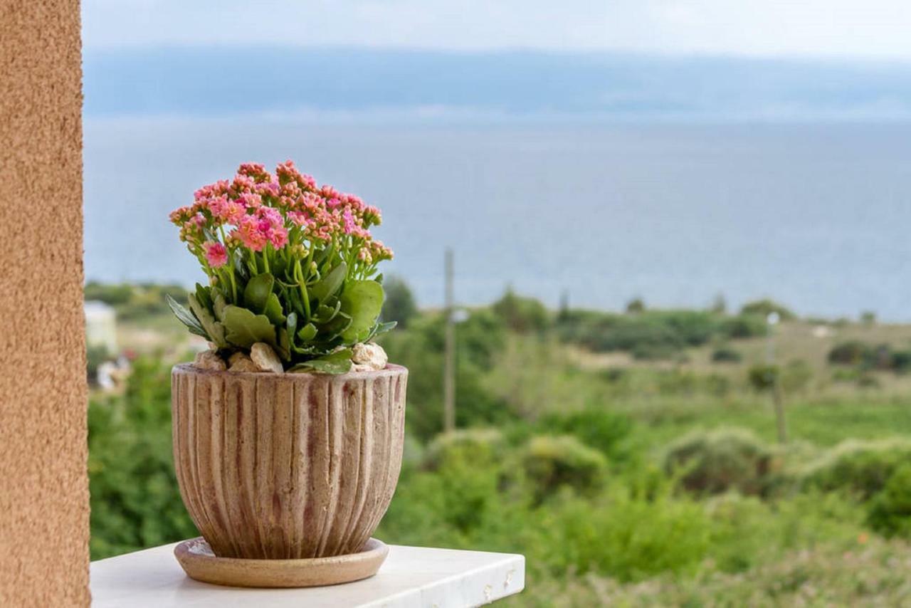 Apartment Nika Split Bagian luar foto